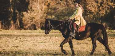 Курс верховой езды ( 8 занятий)