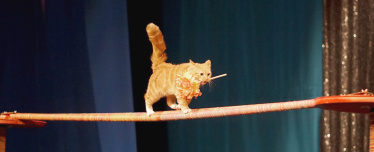 Театр кошек Куклачева