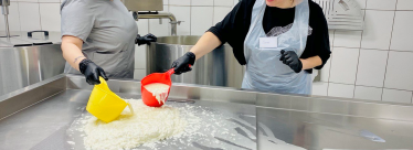 Взрослый мастер-класс по сыроварению (4 участника)