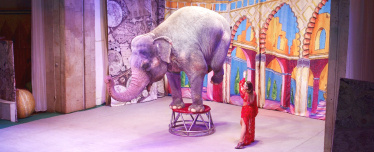 Театр Уголок дедушки Дурова