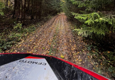 Лесная прогулка по Подмосковью на багги