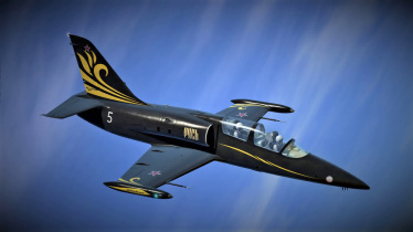 Полёт на реактивном самолёте L-39 (30 минут)