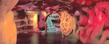 Внутри человека для двоих