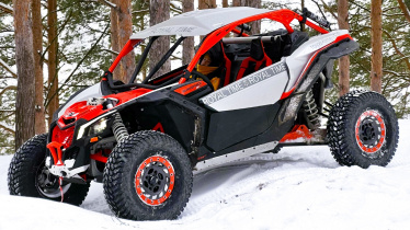 Поездка на багги по сосновому лесу ( 30 минут)