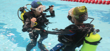 Дайвинг для группы