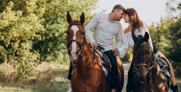 Индивидуальная конная прогулка в лес для двоих (1 час)