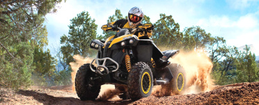 Аренда квадроцикла ( 1 час)