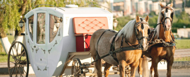 Прогулка в карете для двоих