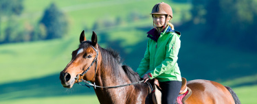 Верховая езда