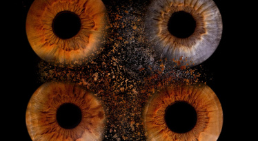 Фото одной радужки для семьи