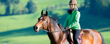 Верховая езда для компании 