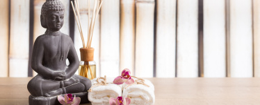 СПА программа Энергия Будды