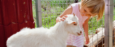 Индивидульная экскурсия в контактный зоопарк для двоих